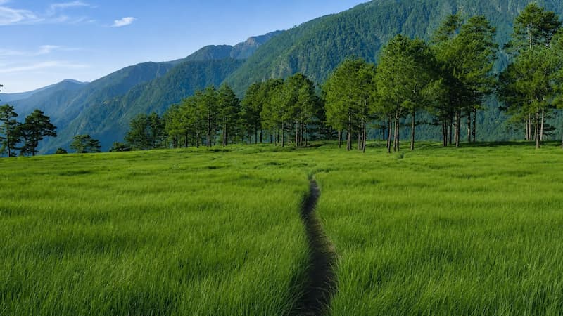 Dong Valley: India's Easternmost Frontier