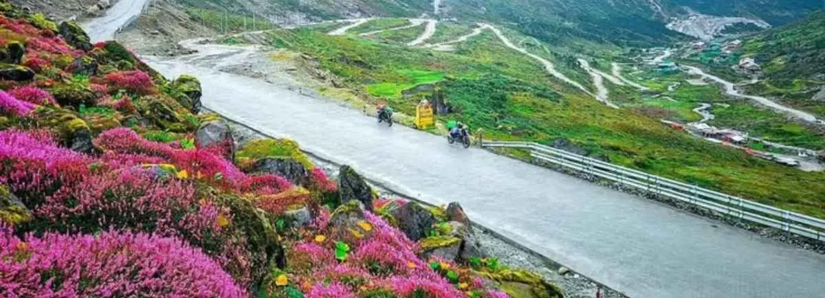 A mountain road winding past vibrant pink flowers and green hills in Arunachal Pradesh.