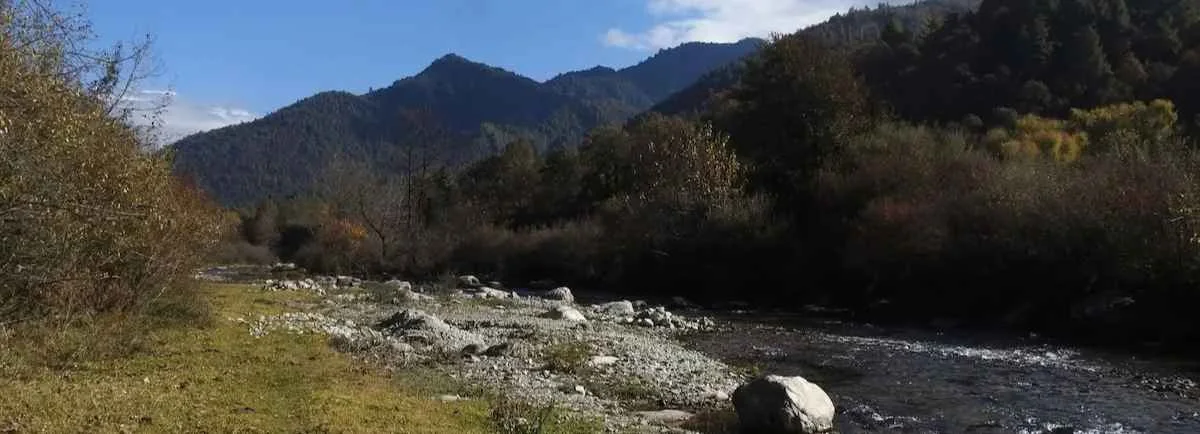A rocky river flowing through mago a lush mountain valley with dense forest under a clear blue sky.