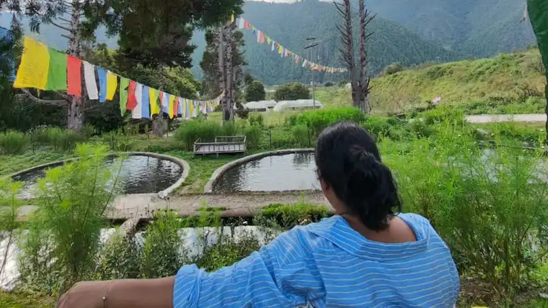 A view of the trout hatchery ponds in Shergaon, strung with prayer flags, mountains in the background.