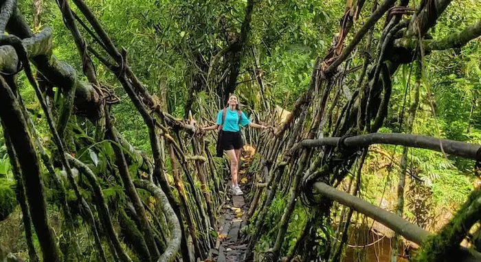 Meghalaya Travel Guide 2026: Route, Best Time, Itinerary & Cost