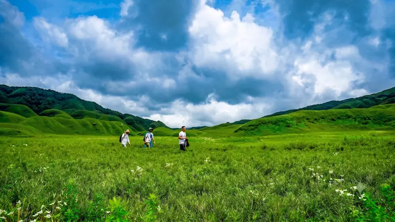 Trekkers walking through the open green meadow of Dzukou Valley under a wide sky.