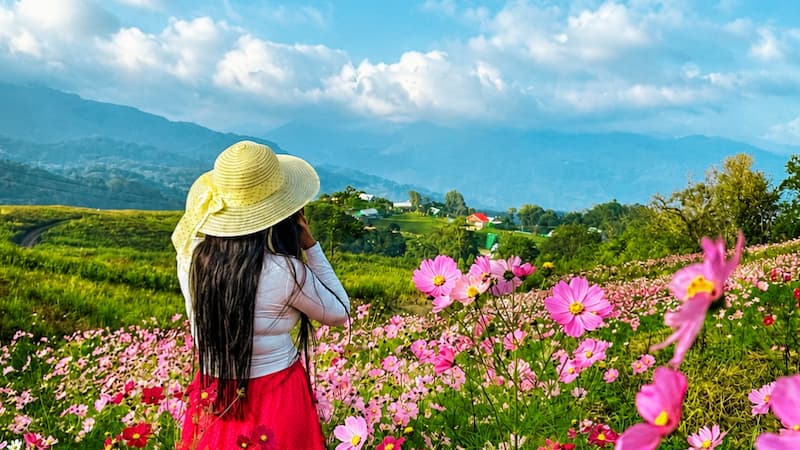 Best 11 Places in Northeast India (2026 Guide)