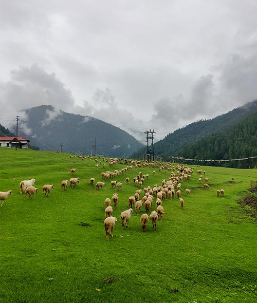 arunachal pradesh